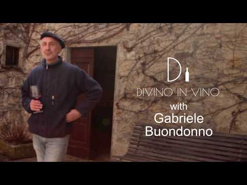Meet Gabriele Buondonno