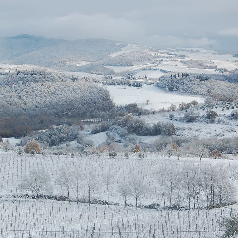 Buondonno Chianti Classico — foto 18