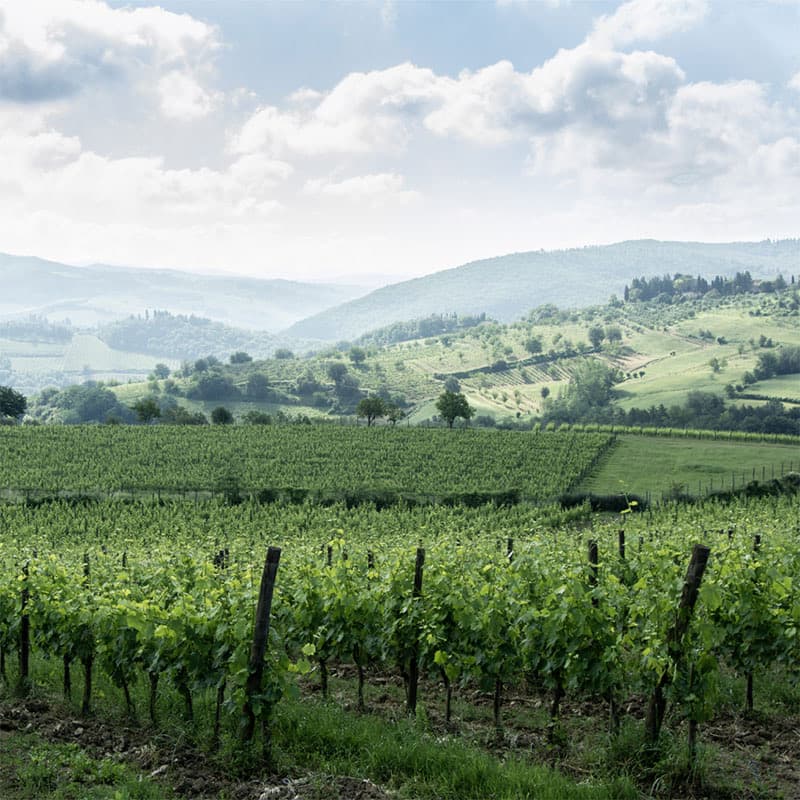 Buondonno Chianti Classico — foto 26