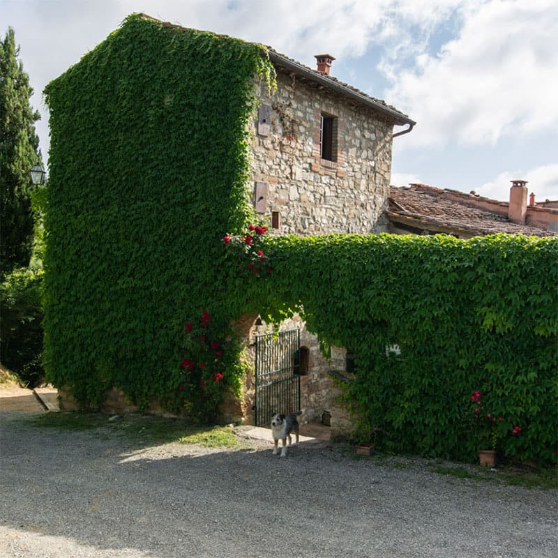 Buondonno Chianti Classico — foto 28