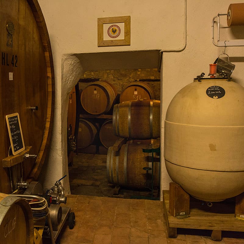 Buondonno Chianti Classico — foto 30