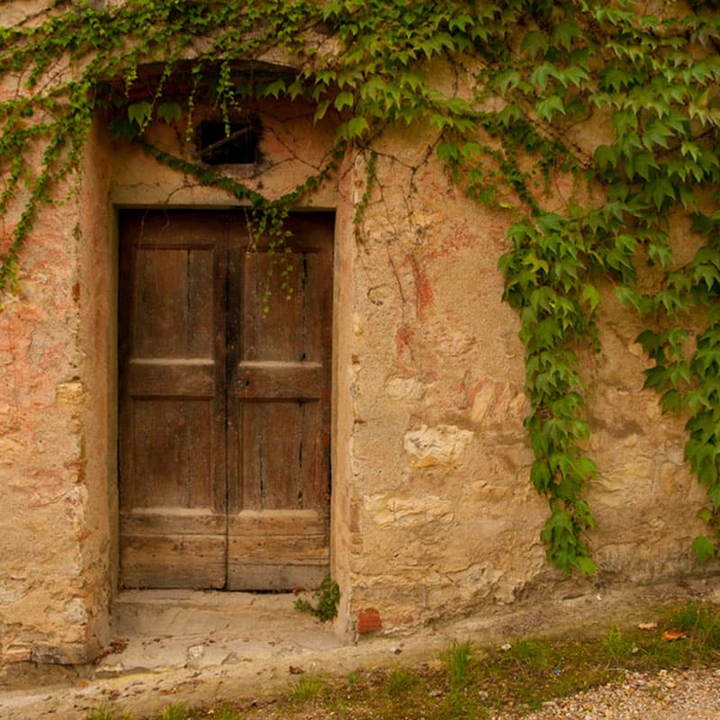 Buondonno Chianti Classico — foto 5