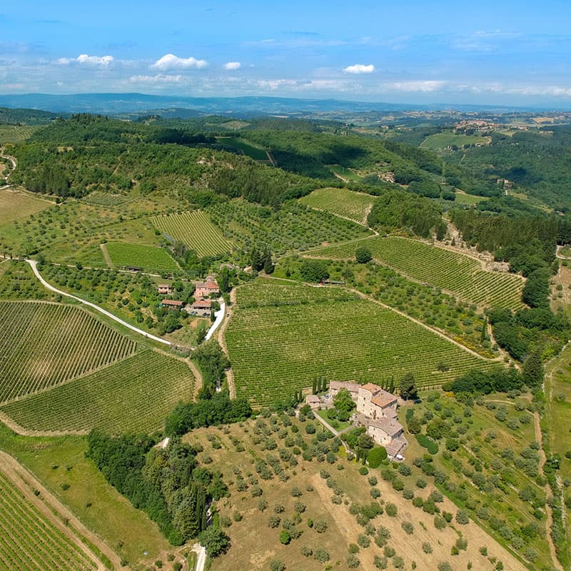 Buondonno Chianti Classico — foto 9