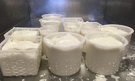 Caprino fresco