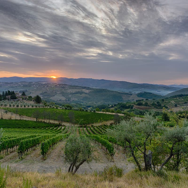 Terrazza del podere