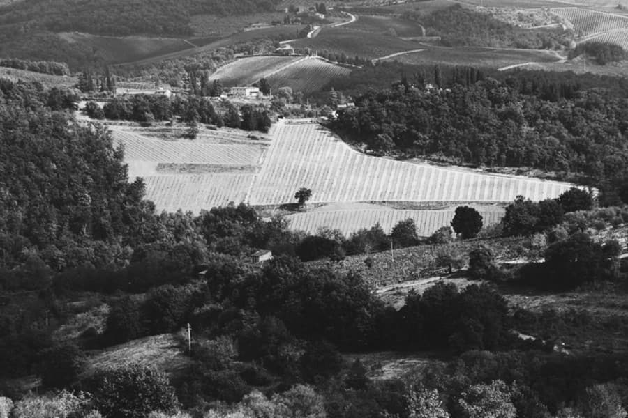 Guida pratica al Chianti Classico