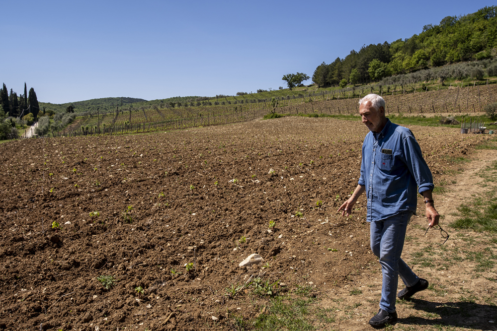 Azienda Agricola Buondonno, Casavecchia alla Piazza — foto 2